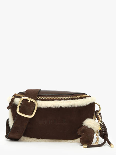 Sac Banane Etrier Marron alpin EALP022M