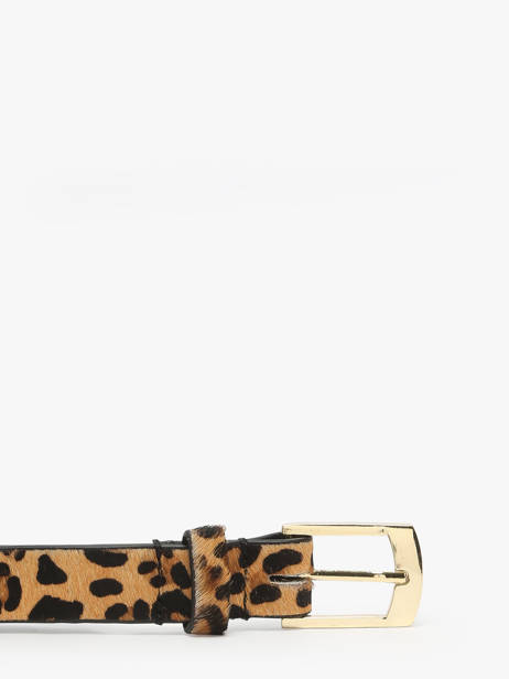 Ceinture Pieces Marron naina 17098646 vue secondaire 2