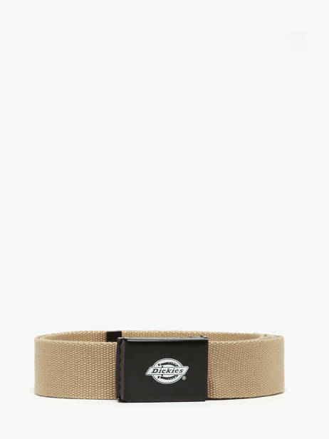 Ceinture Orcutt Dickies Beige orcutt KD0A4X7E
